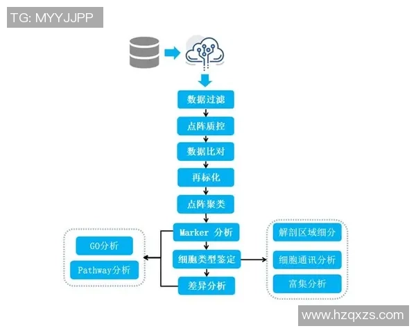 杭州攀岩队耐力表现数据分析揭示训练效果与提升空间