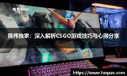 陈伟独家：深入解析CSGO游戏技巧与心得分享